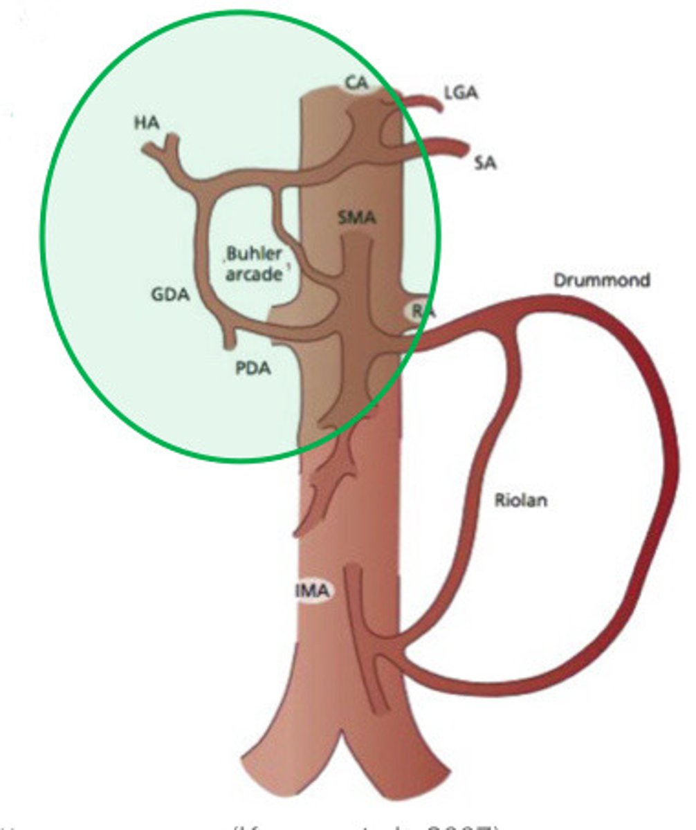 <p>What is the green circle indicating</p>