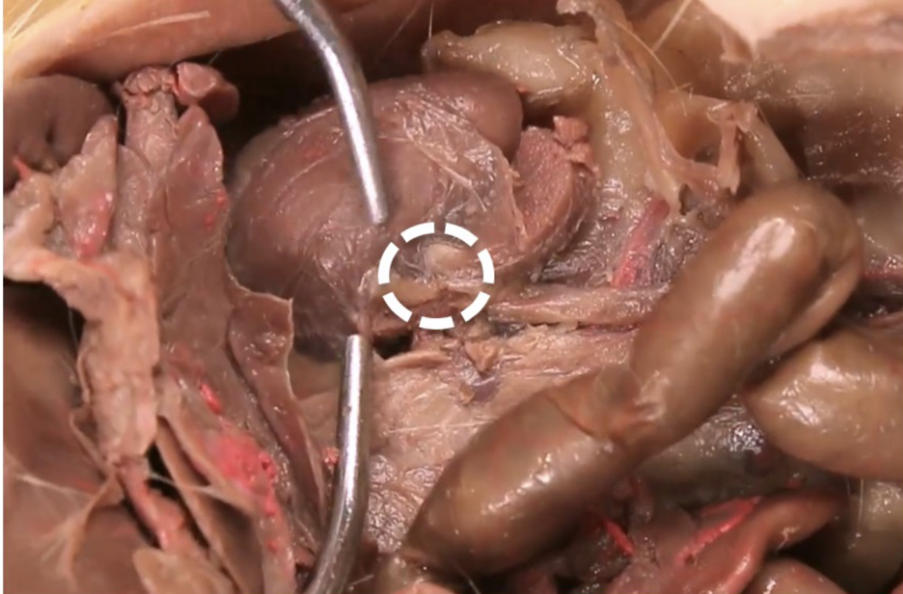 <p>What is this?</p>