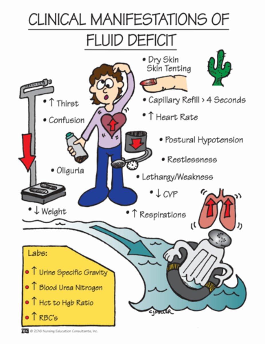 <p>- decreased LOC</p><p>- increased HR</p><p>- dizziness</p>