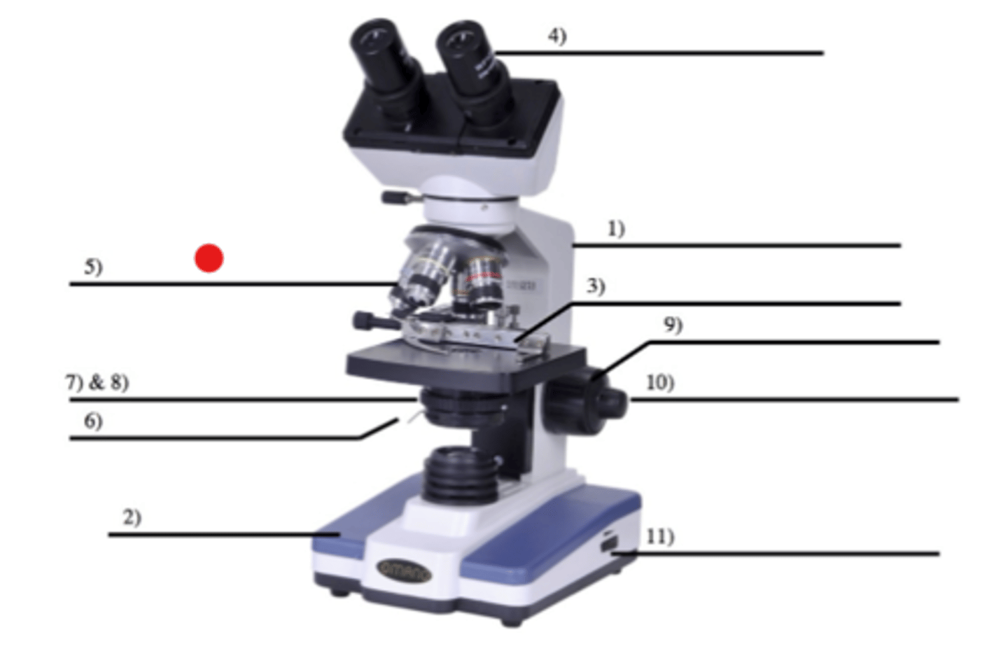 <p>5</p><p>- The line of vision passes from the ocular through the lens of the objectives</p>