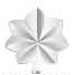 <p>Silver oak leaf</p>