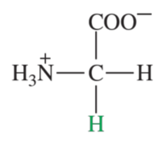 <p>What amino acid is shown in the image?</p>