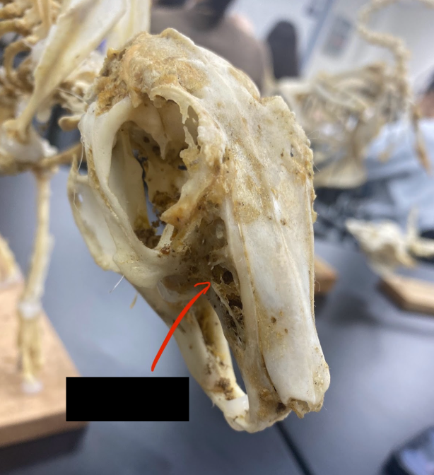 <p>What part is this&nbsp;</p>