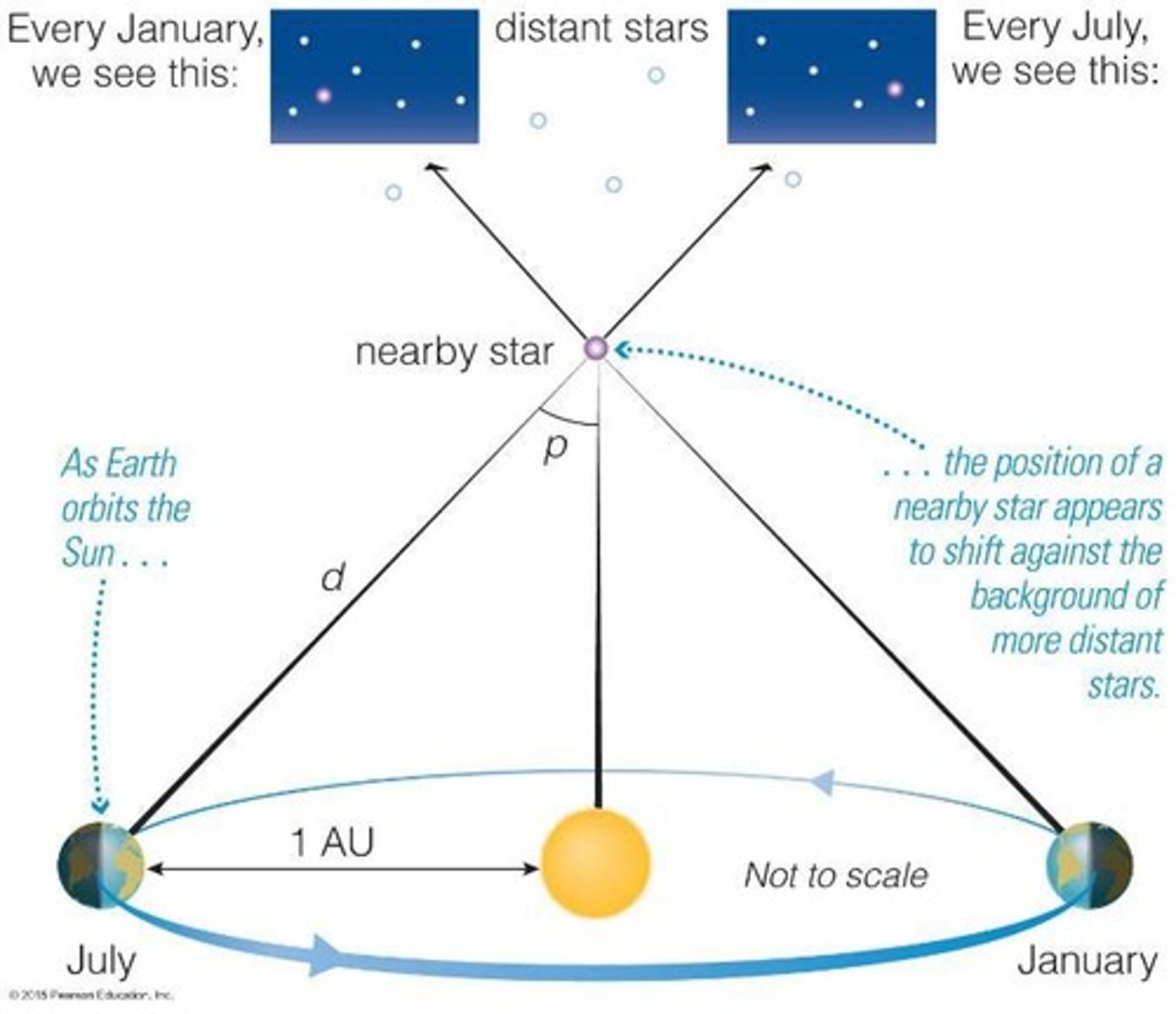 <p>The apparent shift in position of a nearby star against distant stars as Earth orbits the Sun.</p>