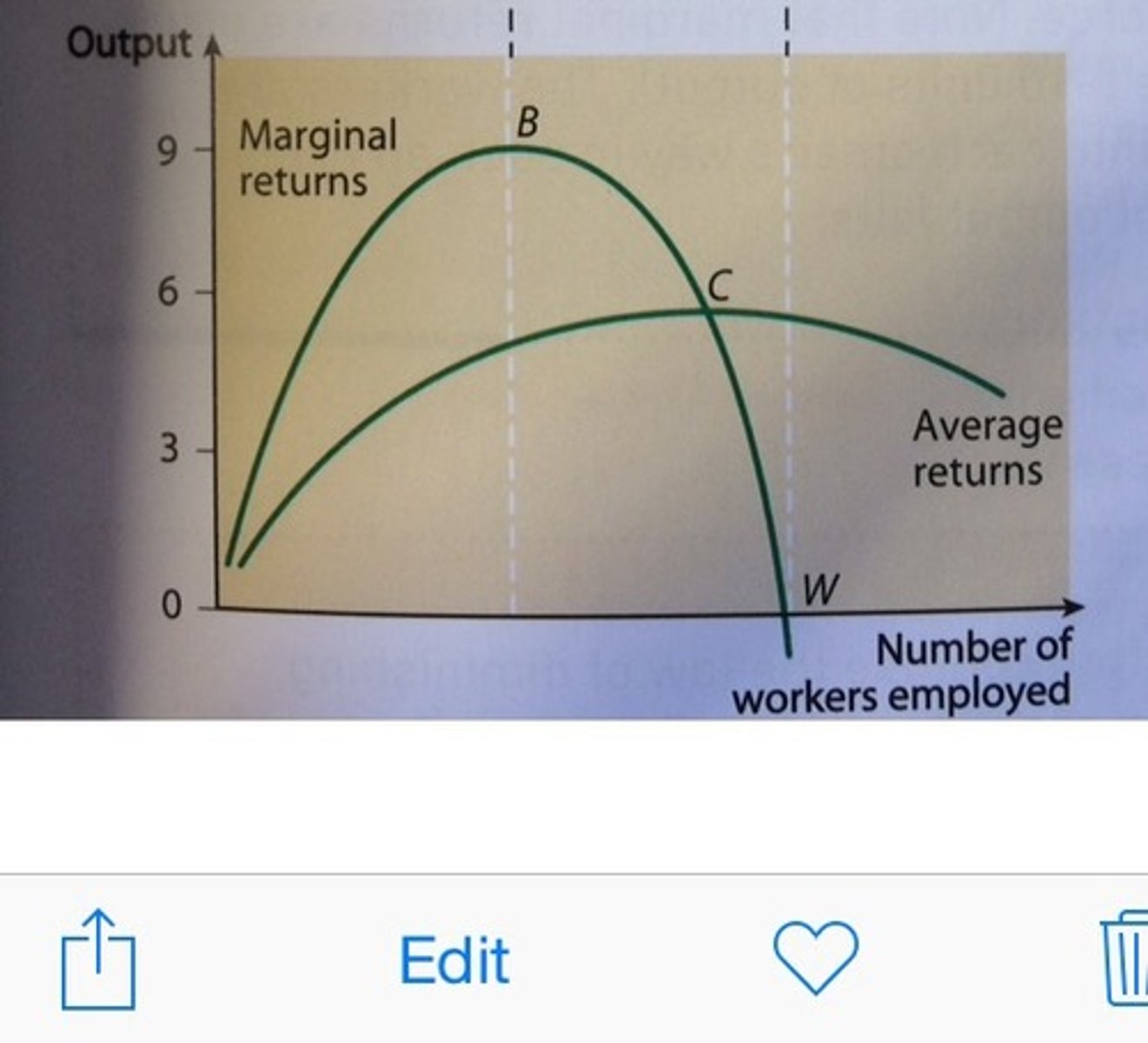 <p>- The marginal returns curve intersects the average returns curve at its highest point</p>