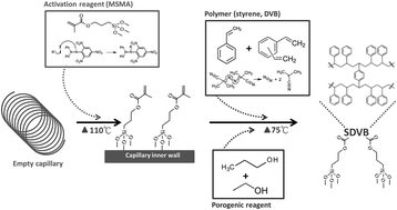 <p>Poly(styrene-co-divinylbenzene) Media:</p><p>General Surface Modification Strategy</p>