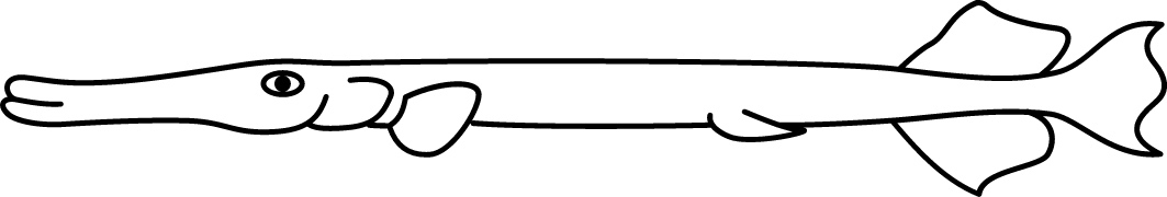 <p>Lines on body<br>Size: 40 cm</p>