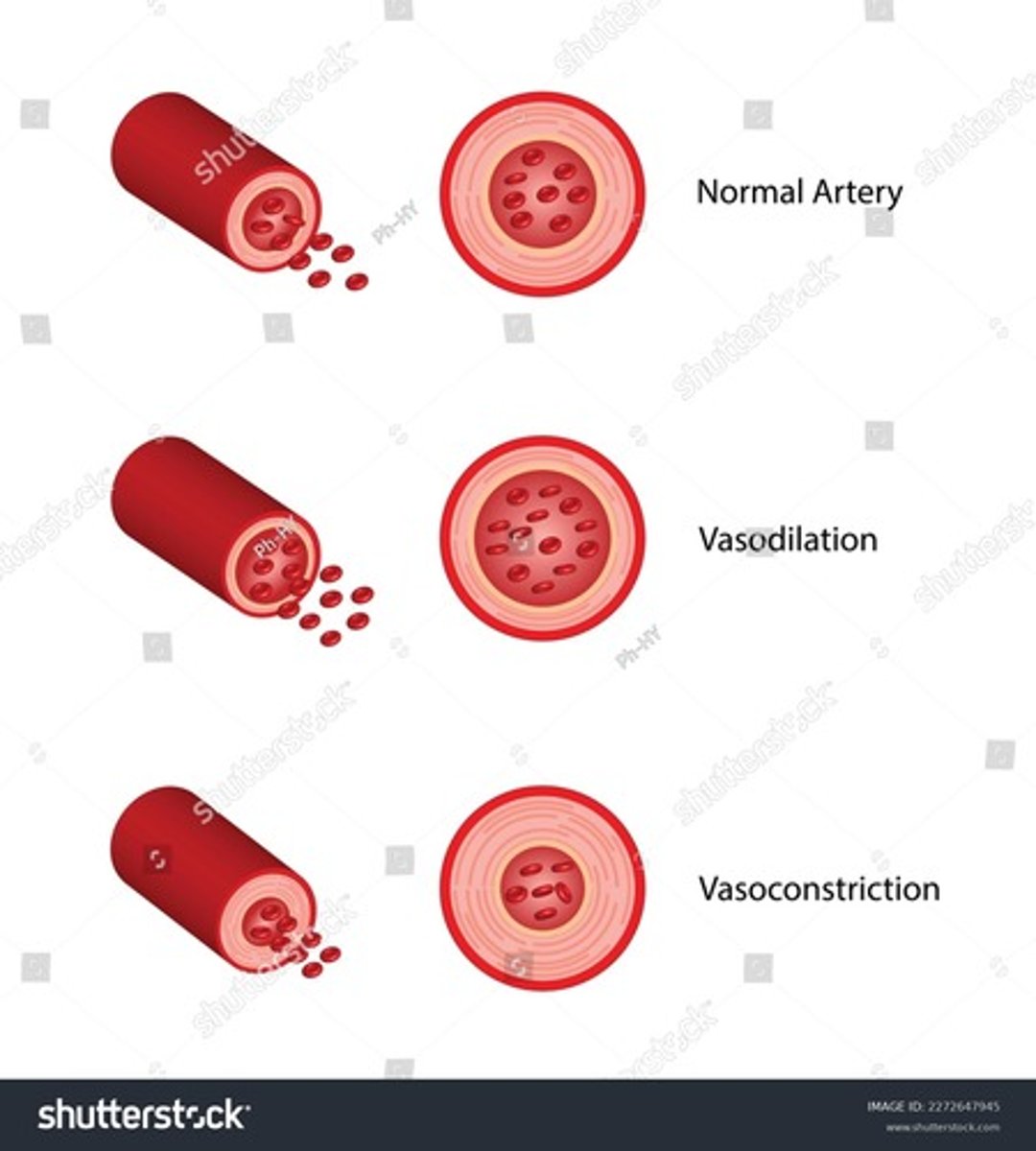 <p>The diameter of the artery decreases,<strong> </strong>which increases resistance to blood flow, and a result <strong>pressure within the artery increases</strong></p>