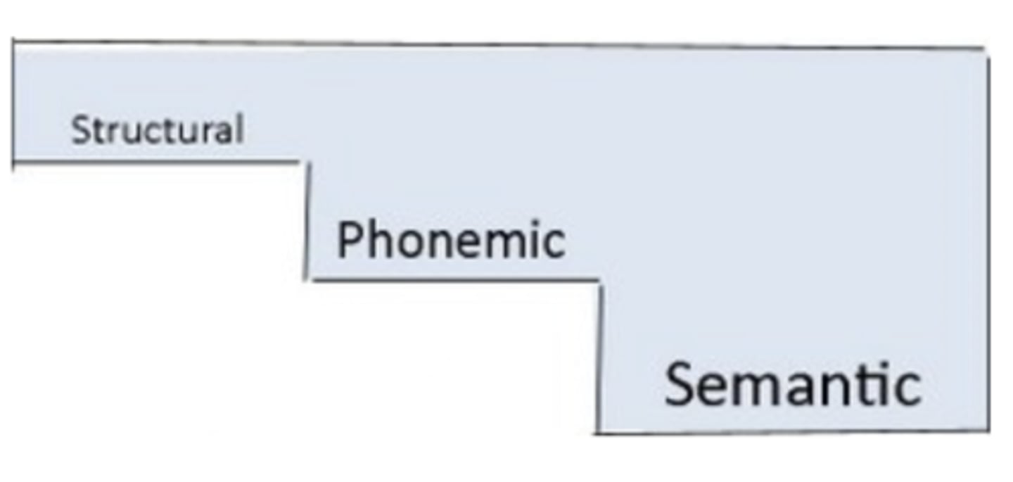 <p>the three levels of the levels of processing model</p>