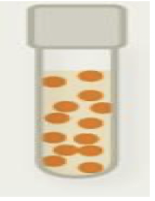 <p>oxygen use in metabolism? not used </p><p>can effectively manage reactive oxygen species? yes </p>