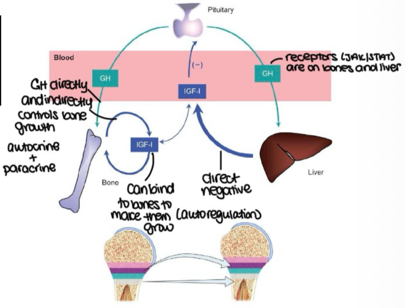 <p>indirect&nbsp;</p>