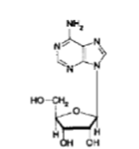 <p>What NT is this?</p>