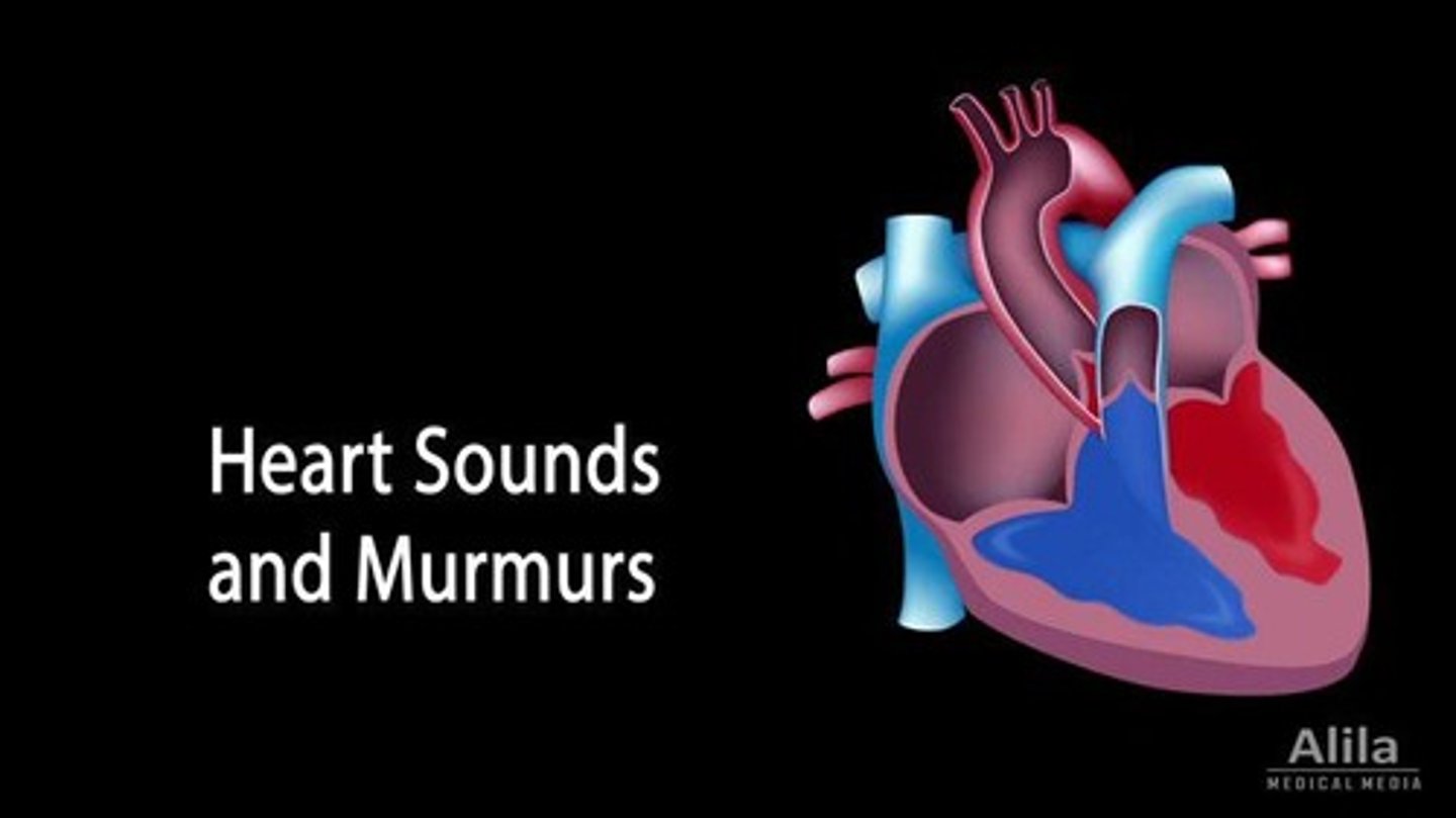 <p>Normal flow murmur due to increased blood velocity.</p>