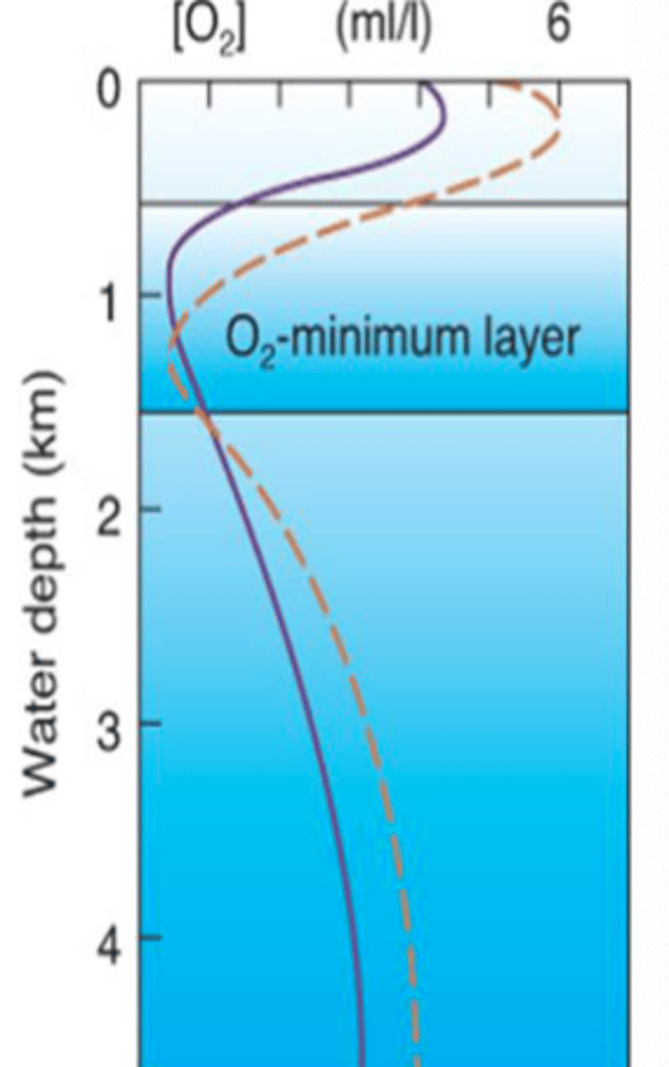 <p>1. Surface</p><p>2. Subsurface peak</p><p>3. Pycnocline/OMZ</p><p>4. Deep water</p>