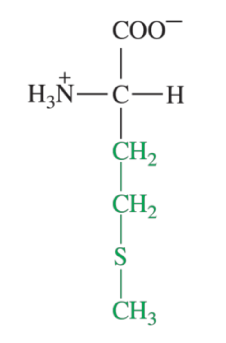 <p>What amino acid is shown in the image?</p>