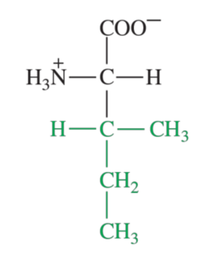<p>What amino acid is shown in the image?</p>
