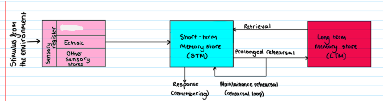 <p><strong>Multi Store Model</strong></p><p>what is missing?</p>