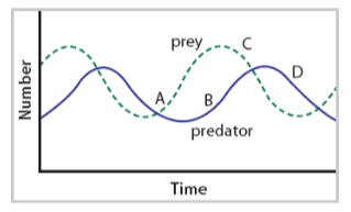 <p>predator-consumer interactions, graphed</p>