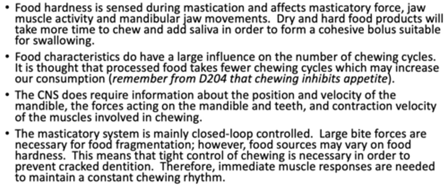 <p>summary of mastication:</p>