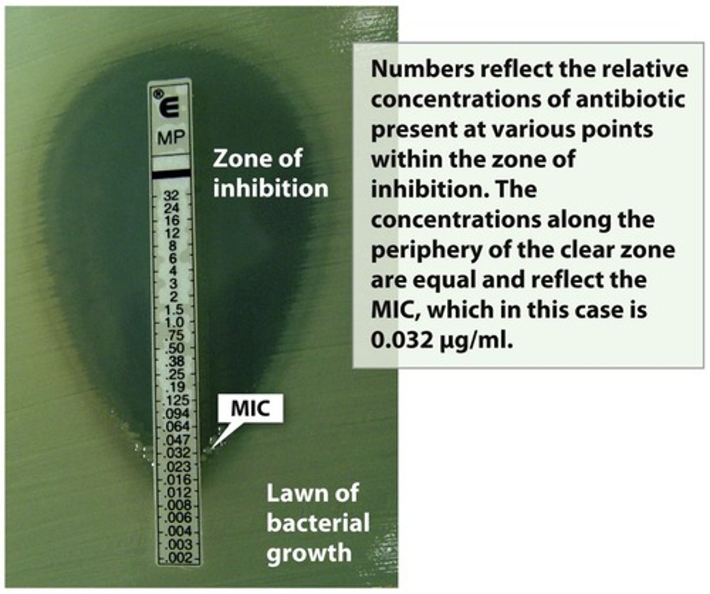 <p>Measures antibiotic susceptibility using agar diffusion.</p>