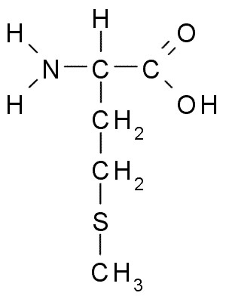 <p>CHON, sometimes S</p>