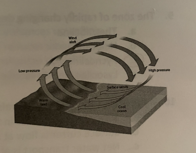 What is shown in the digram to the right 

* atmospheric conduction cell
* atmospheric convection cell
* atmospheric radiano cell
* atmospheric thermal cell 