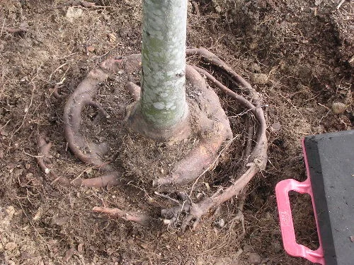<p>What is this an example of?</p>