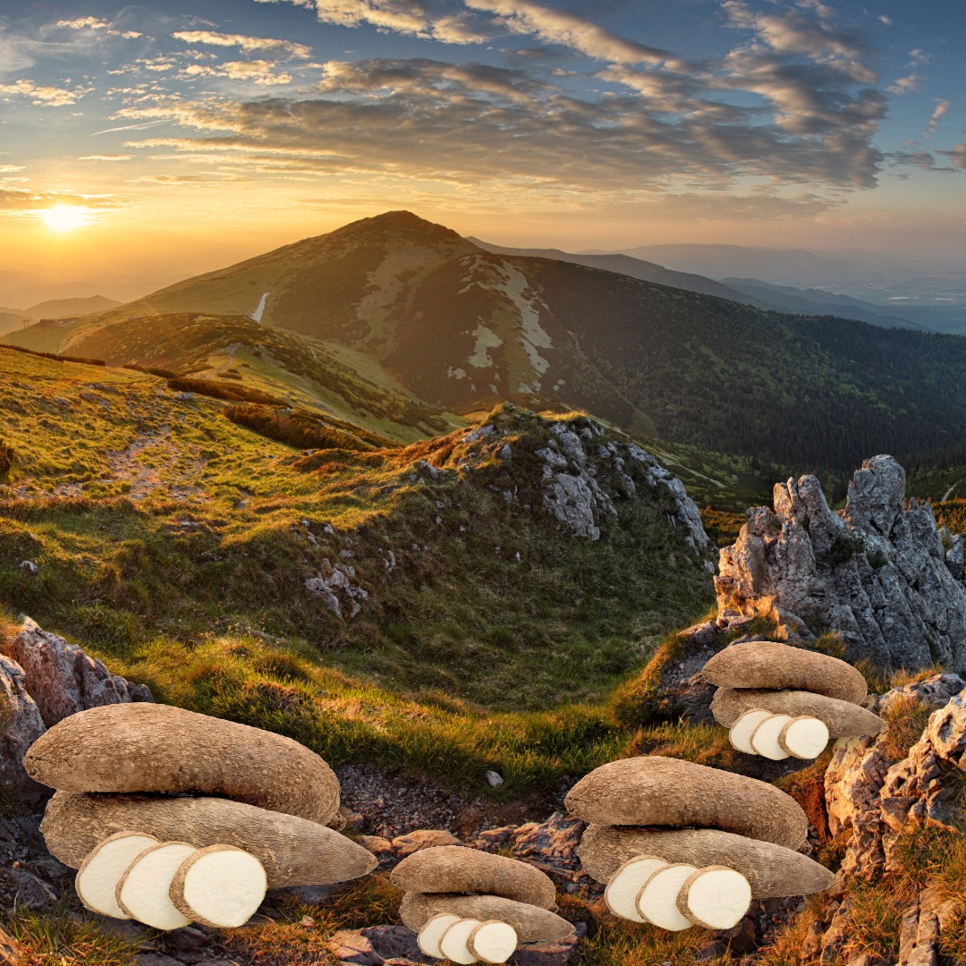 <p><strong>やま 山</strong></p><p>Kanji:</p><p><span style="color: rgb(169, 169, 169);"><span>山 Mountain</span></span></p>