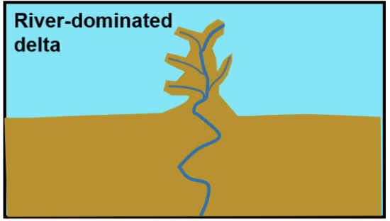 <ol><li><p>As the river approaches its mouth, sediment load the river carries from fluvial erosion is deposited at the mouth</p></li><li><p>Slowing velocity of river and build up of sediment allows river to break from its single channel</p></li><li><p>Forms deltaic lobe that include a distributary network of smaller channels that branch off from mainstream river</p></li></ol><p></p>