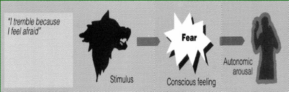 <ul><li><p>The common sense theory of emotion suggests that initially we perceive an emotion &amp; from the emotion, a specific patter of autonomic arousal &amp; skeletal action </p><p></p></li></ul>