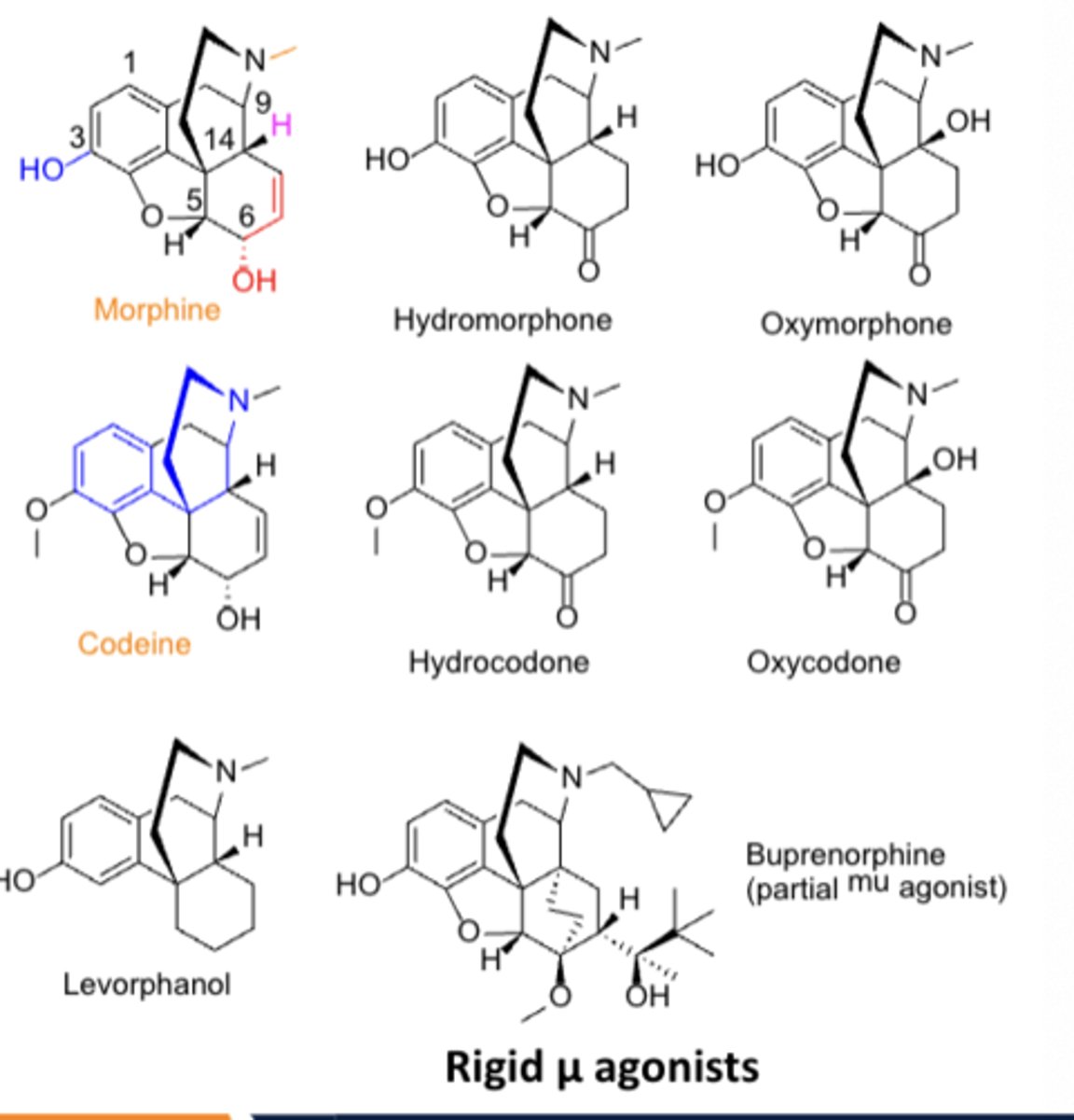 <p>All phenanthrene-based agents have a phenolic hydroxyl or methoxy ether at C3</p>