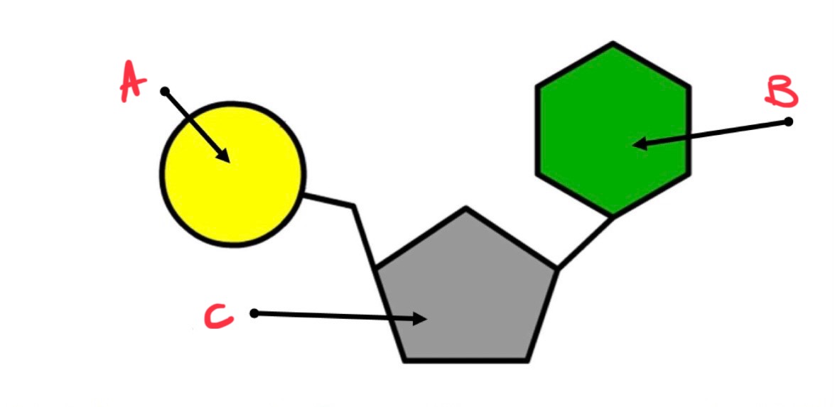 <p>what is b?</p>
