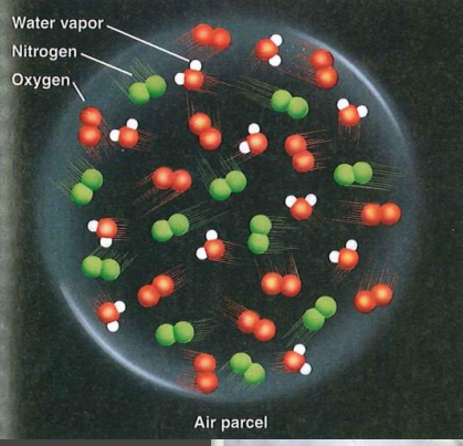- Total vapour pressure = total pressure/force exerted by all gas molecules pushing against the 'outer wall' of a parcel of air

- Vapour pressure = the Partial Pressure exerted by vapour in a parcel of air