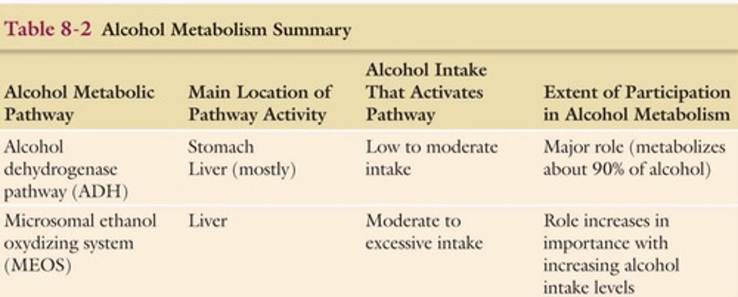 <p>The most significant pathway is initiated by alcohol dehydrogenase.</p>