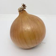 <p>Brown Onion</p>