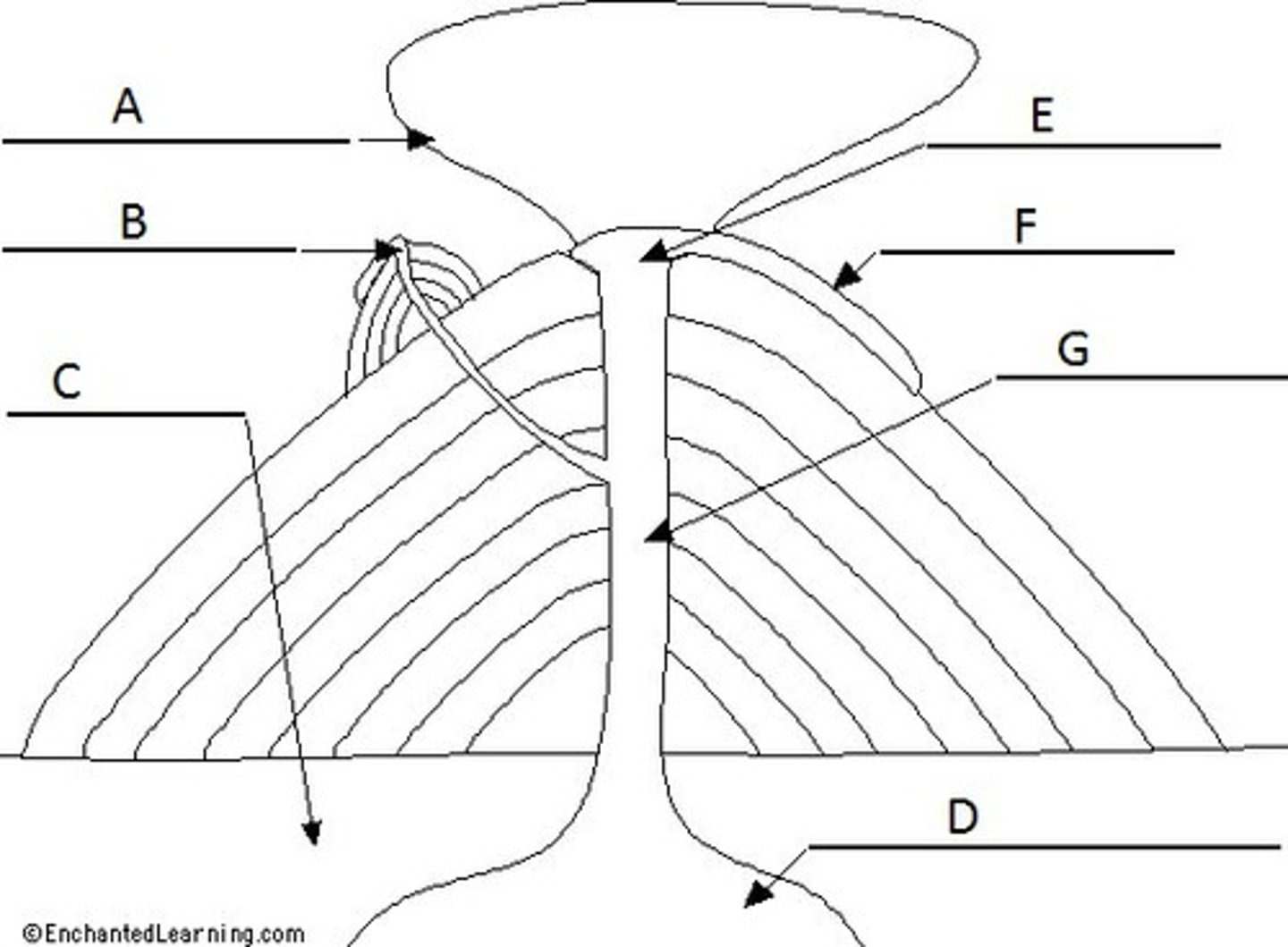 <p>A channel through which magma travels to the surface</p>