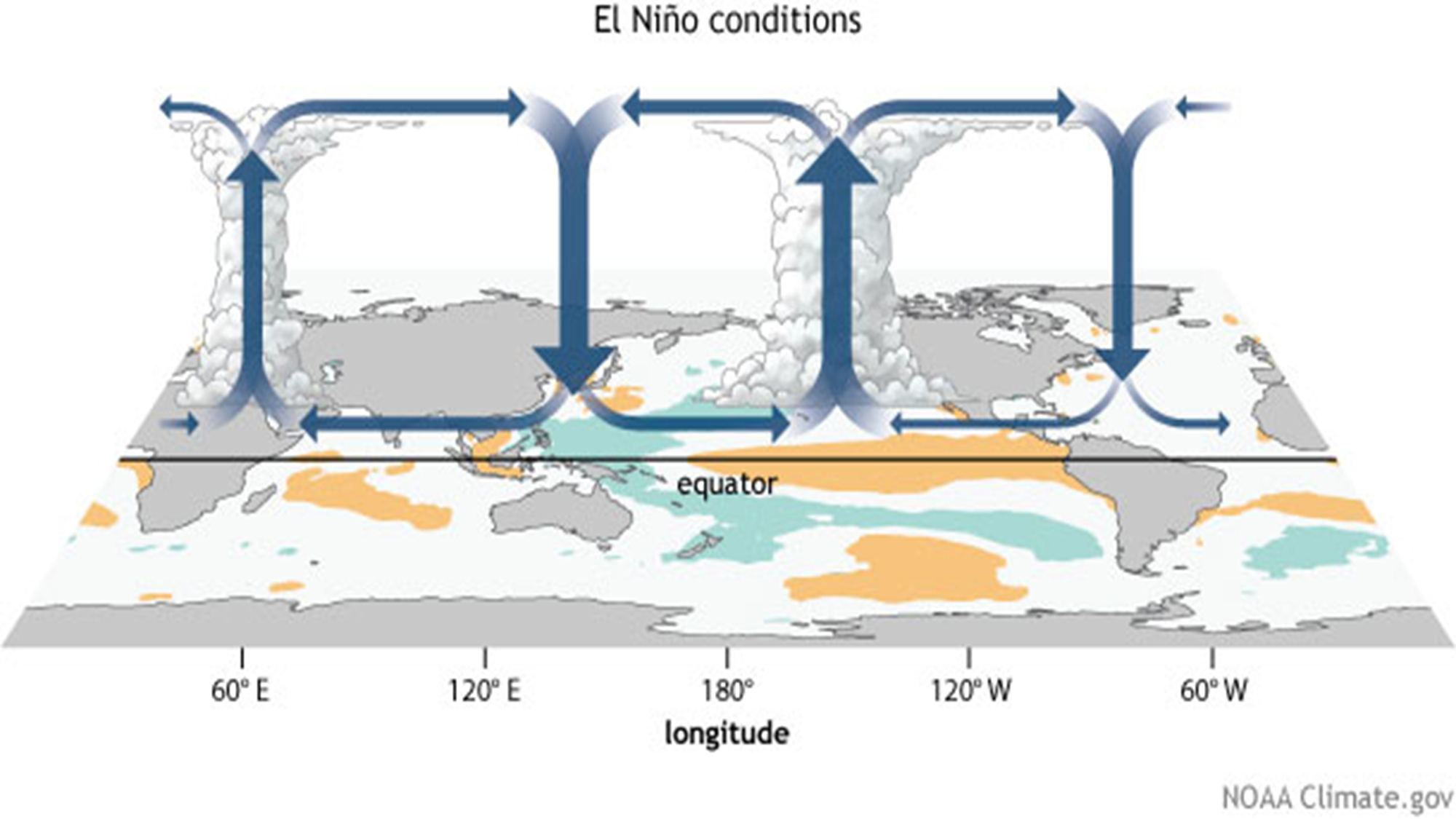 El Nino atmo circulation