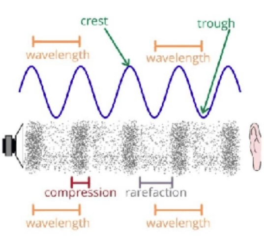 1. Wavelength
2. Crest
3. Trough
4. Compression
5. Rarefaction