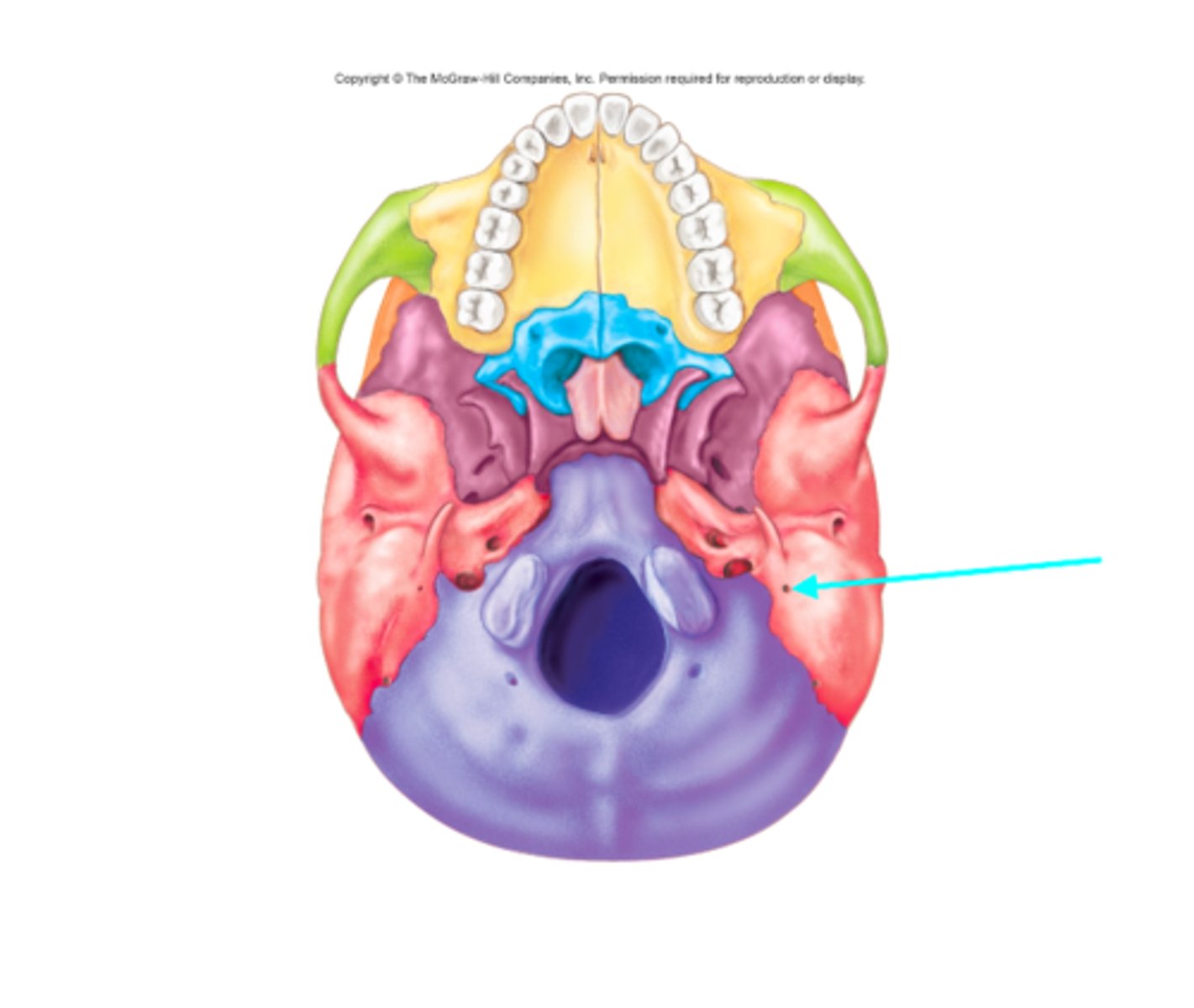 <p>What feature is the blue arrow pointing at?</p>