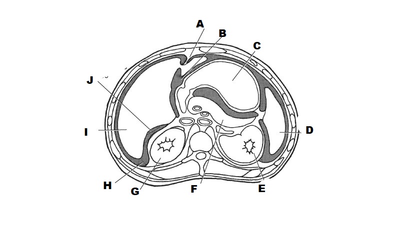 <p>J</p>