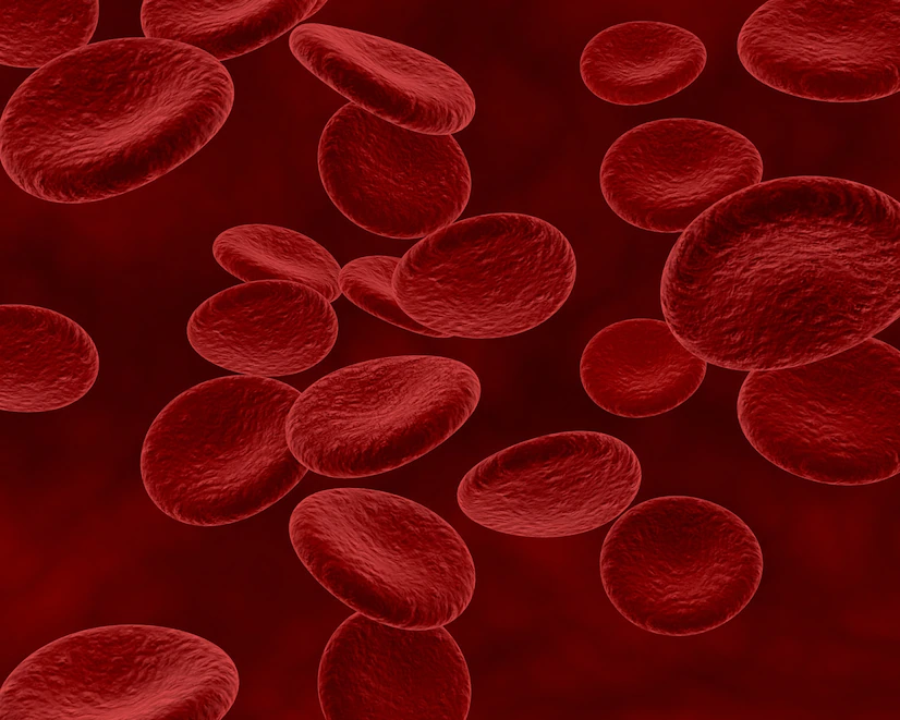 <p>Erythrocytes (Red blood cells)</p>