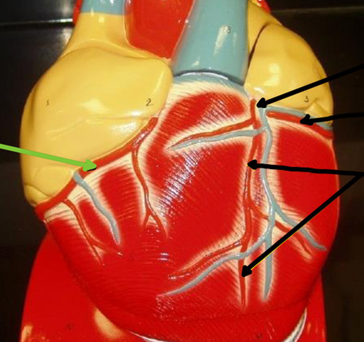 knowt flashcard image