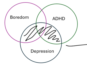 <p>what is shaded in black?</p>