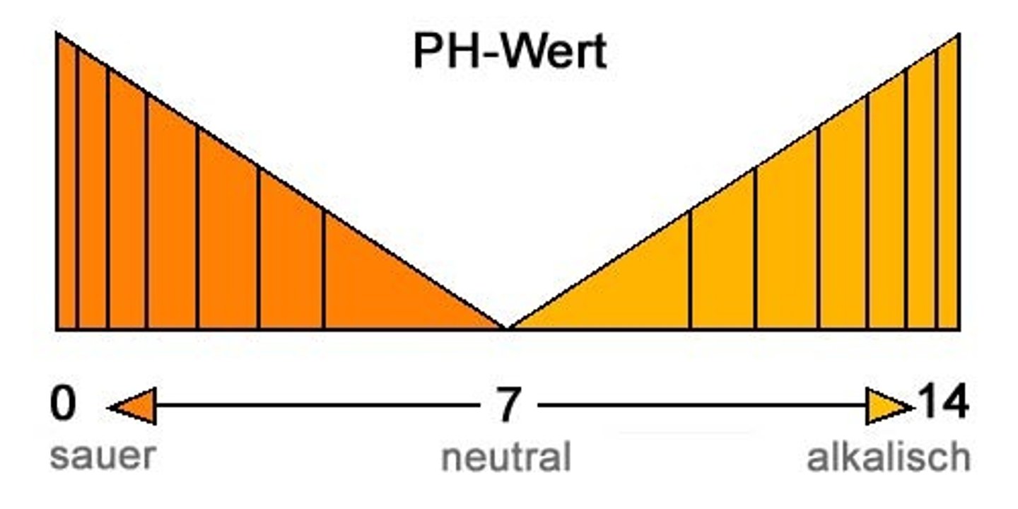 <p>values</p>
