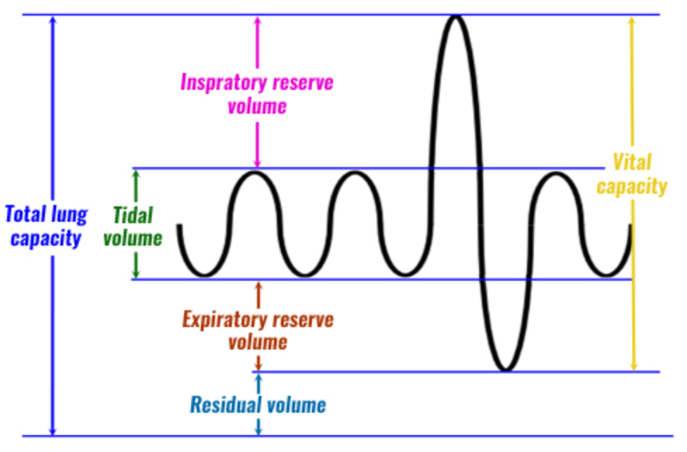 * Maximal amount of air lungs can hold
* = Vt + RV 
* Normal = 5.8 liters