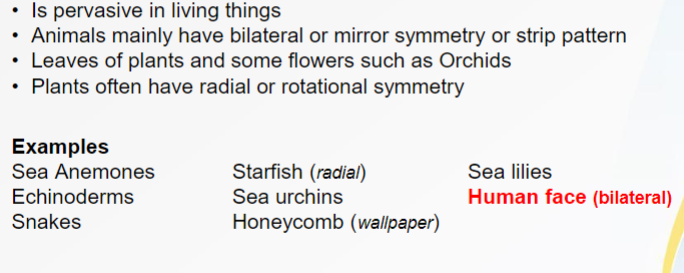 <p><br>Is pervasive in living things<br>• Animals mainly have bilateral or mirror symmetry or strip pattern<br>• Leaves of plants and some flowers such as Orchids<br><span style="color: transparent">• Plants often have radial or rotational symmetry</span></p>