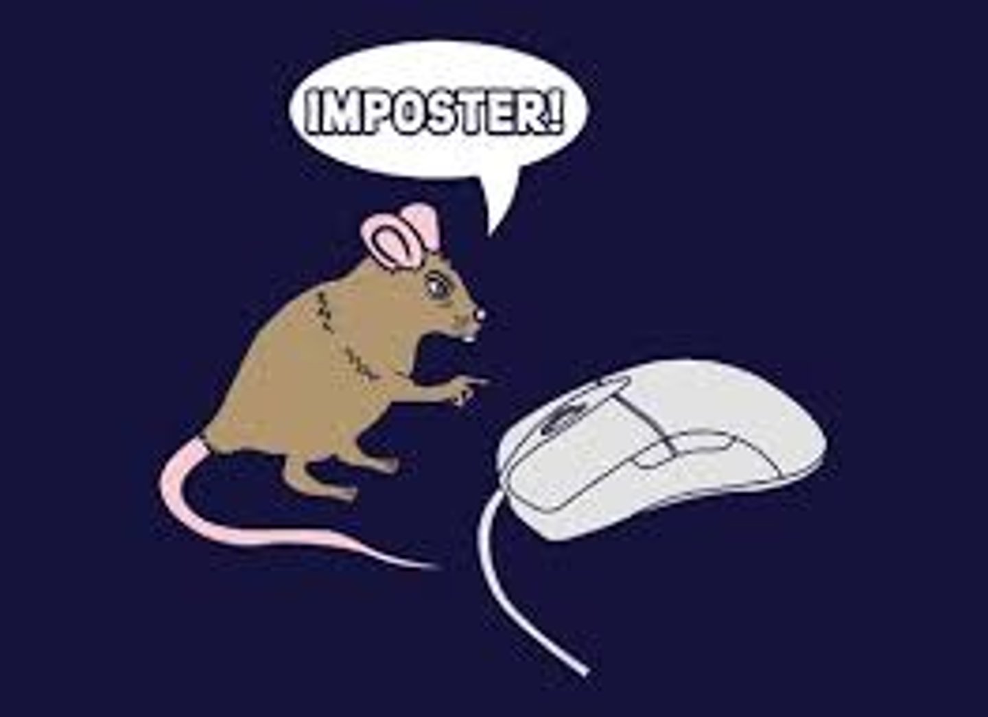 <p>One who falsely claims knowledge or ability.</p>