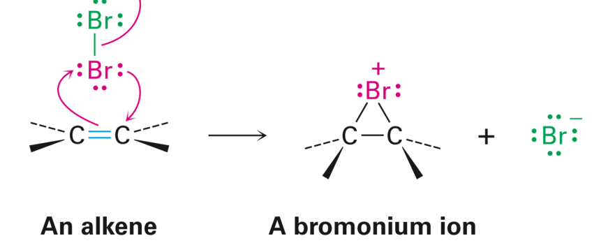 <ul><li><p>Br+ adds to the alkene to produce a bromonium ion and bromide ion</p></li><li><p>The bromide then attacks from the opposite side of bromonium ion </p><ul><li><p>Anti addition </p></li></ul></li><li><p>Trans product is the major organic product</p></li></ul><p></p>