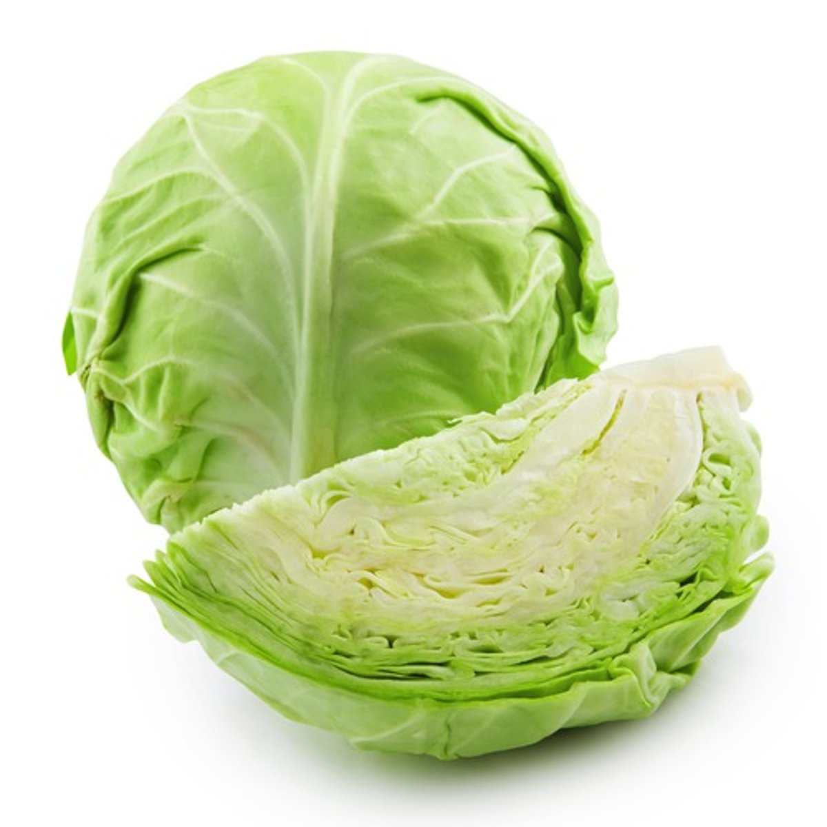 <p>cabbage</p>