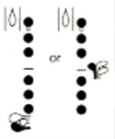 <p>Fingering</p>